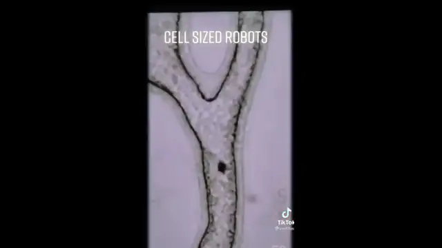 Transhumanism: Cell sized nanotechnology