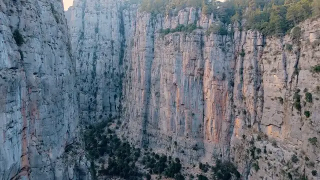 Nature - Eponymous Upon Us (1st OurTube Exclusive)