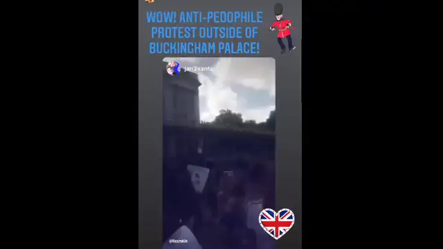Buckingham Palace Protests - Save Our Children