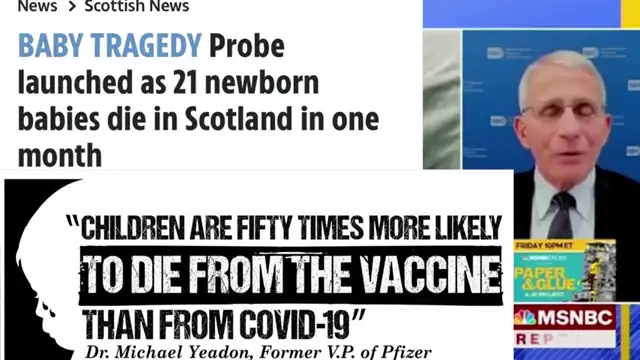Anthony Fauci calls for his own assasination without realizing - or maybe he does