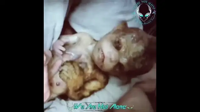 The Tiger Baby - Mixing Human and Animal