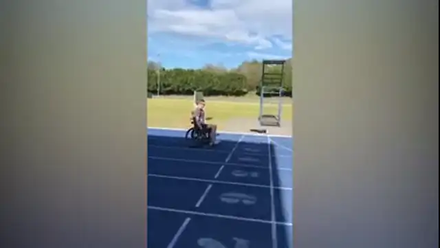 THE MAGIC PLANT CANABIS