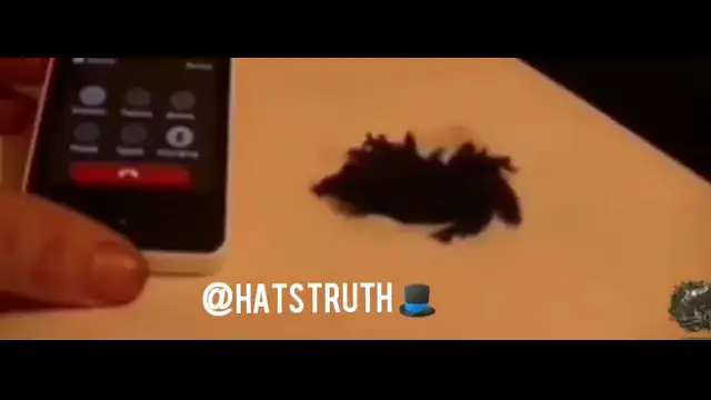 Watch how GRAPHENE OXIDE reacts to a phone call!