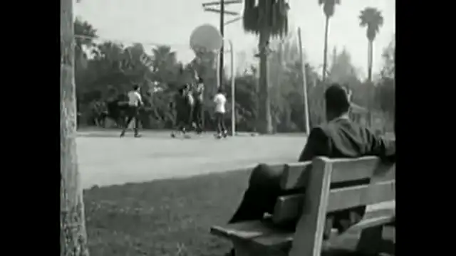 1950s Education on “Homosexuals“