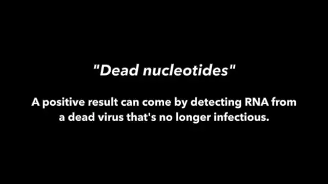 PCR manipulations