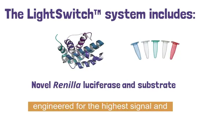 Introduction to the LightSwitch Luciferase Reporter Assay System
