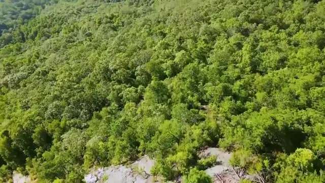 Nature - MCCM