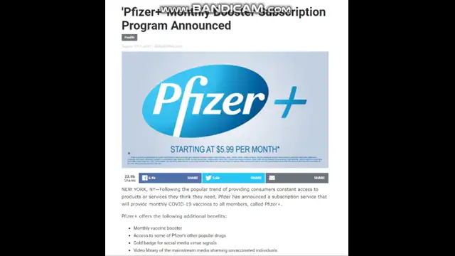 Phizer Monthly Booster Shot