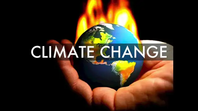 They Lie We See – The Mind Virus