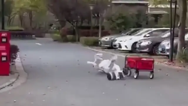 This will NEVER get Old....???