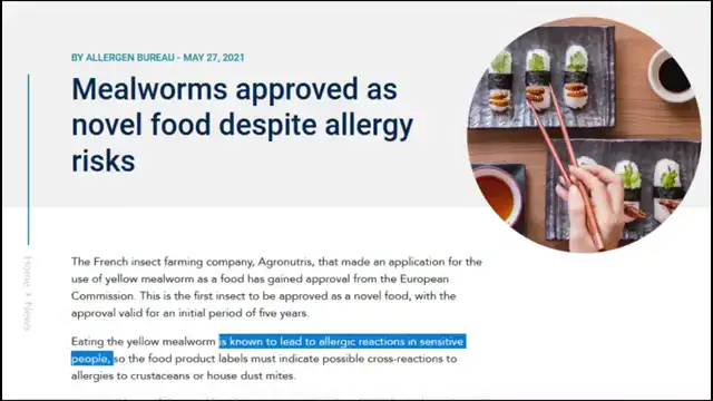 Primary School Making INSECT PIZZA / Hugo Talks