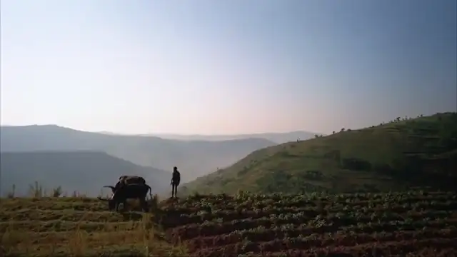 What Is Thinking? - Jiddu Krishnamurti