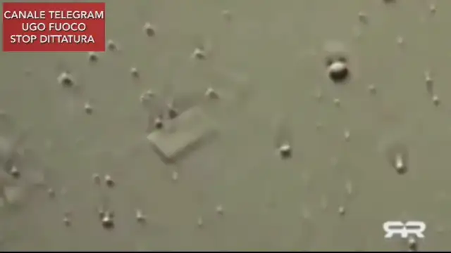 ...vaxxed vs unvaxxed whats the difference?