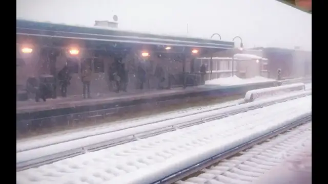The Magnetic Fields ? Have You Seen It in the Snow 01