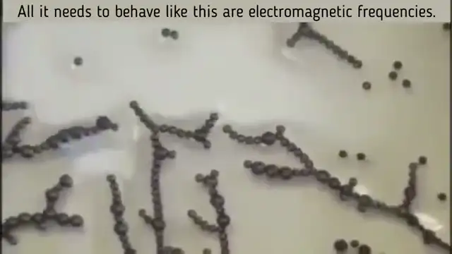 THE SEQUEL TO THE FALL OF THE CABAL - PART 26: WRAPPING UP GENOCIDE