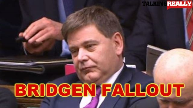 bridgen fallout over holocaust comments