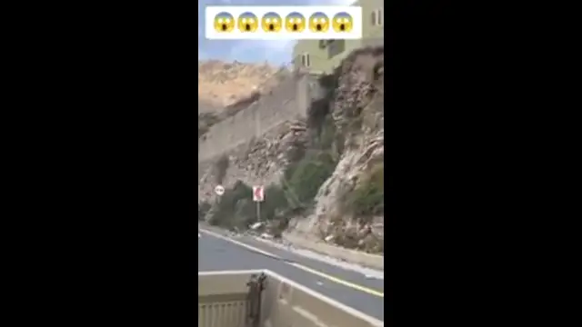 Sheep line up to take the Shot