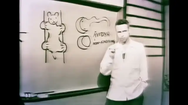 Alan Watts Explains What Awakening Means