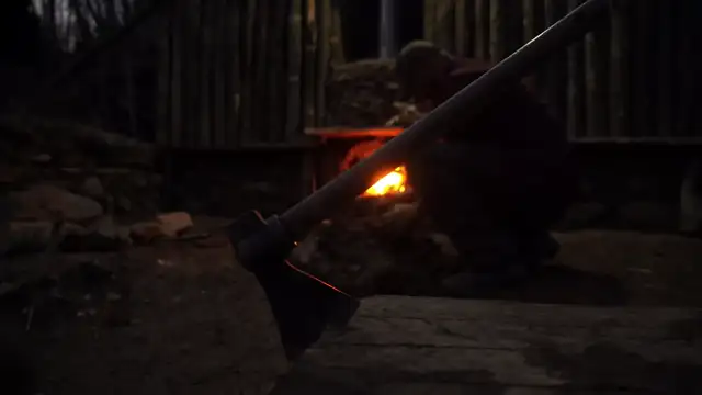 Building a Forest House in 30 DAYS - From Zero to Complete in 30 days