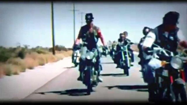 The Magnetic Fields 🎵 (I Want to Join A) Biker Gang