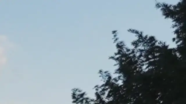 UFO - North London 7:30pm 31st July 2017