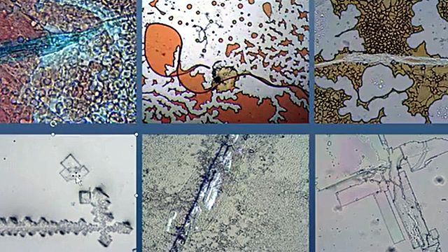 Mateo Taylor - Lidocaine - Mexico, Sept- 2023