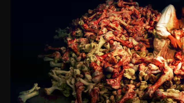 Marina Abramović - Royal Academy