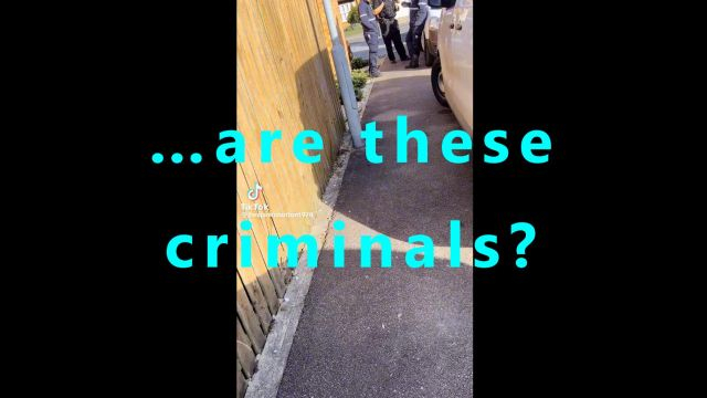 …are these criminals?