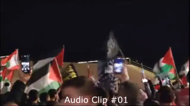 Sydney Palestine Protest Video Manipulation