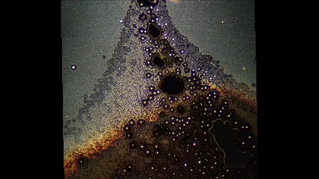 Nixonlab - Indian Manufactured Dental Anesthetics