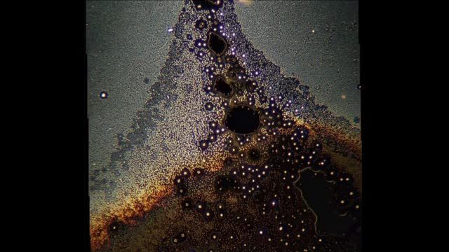 Nixonlab - Indian Manufactured Dental Anesthetics