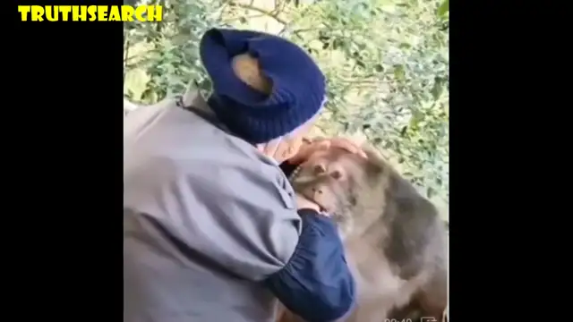 Pilgrim - love defeats everything...