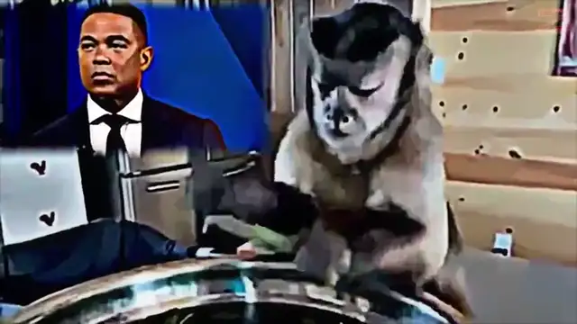 Monkey business. Snappin necks and cashin checks