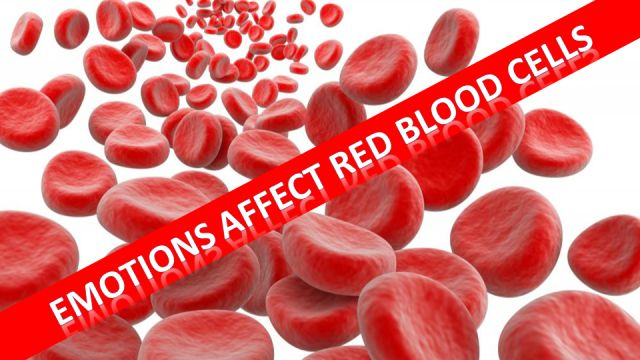 Emotions affect red blood cells