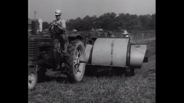 Cannabis Collection - Hemp for Victory - 1942