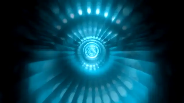 A.I.  🎵  Kimchi Tesla Tofu Liquorice