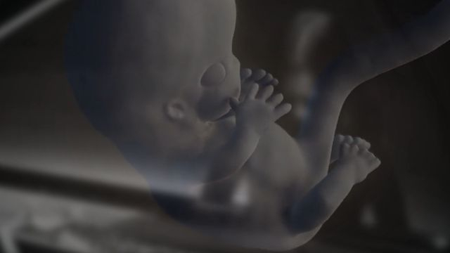 SuperbuggG 🎵 Wont Somebody Please Think of the Children