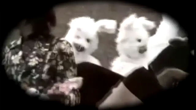 SuperbuggG 🎵 The Beatles Are...