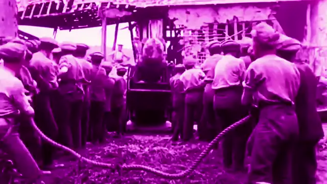 Nature - MCCM 2 👑🦁