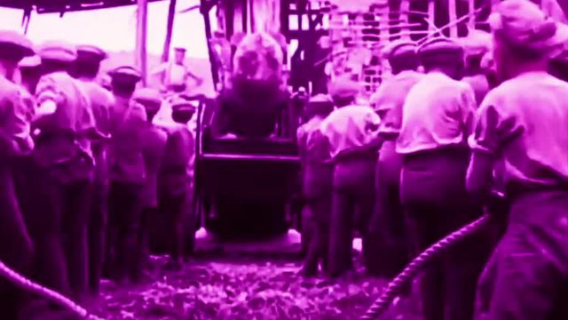 Nature - MCCM 2 👑🦁