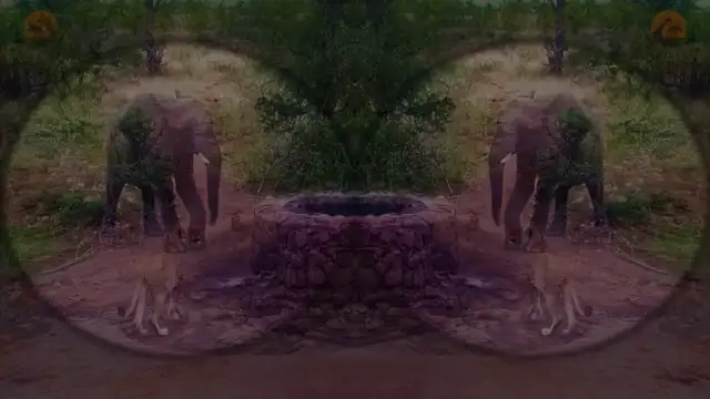 Down By The Well 🎵 A.I.