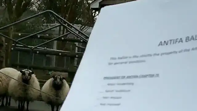 The Little Nazi, Episode 3: Burn the Ballots, Bipto (2023 short film)