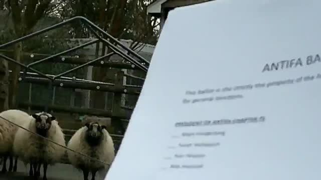 The Little Nazi, Episode 3: Burn the Ballots, Bipto (2023 short film)