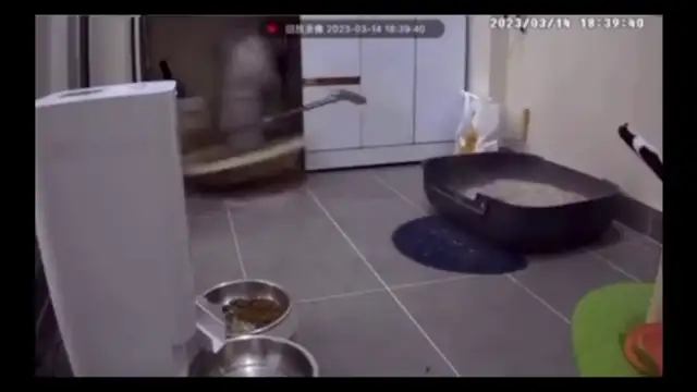 How The World Reacted The Past Three Years...