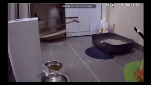 How The World Reacted The Past Three Years...