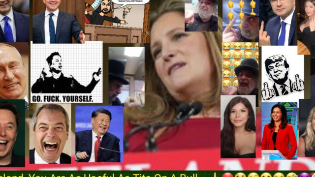 Freeland Has NO Leadership Skills.  🖕🤬🤔🤨😛😂🤣😈🤡🇨🇦