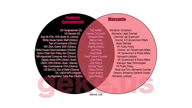 Rant: Ive Been Paying Attention Way too Long for This