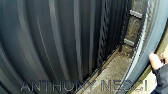 1 in 3 of the population are working for the synagogue of Satan the eyes and ears of the state