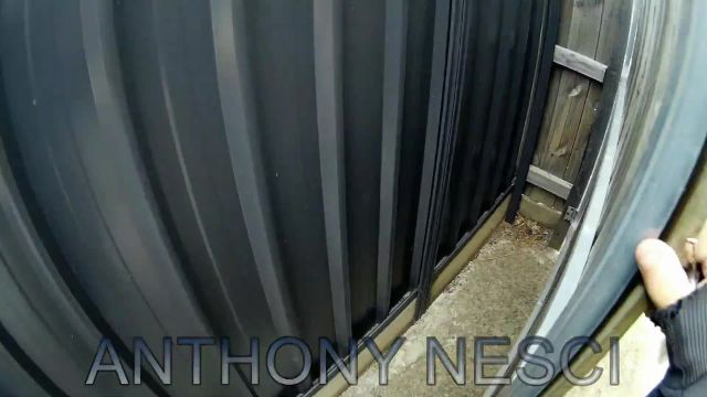 1 in 3 of the population are working for the synagogue of Satan the eyes and ears of the state