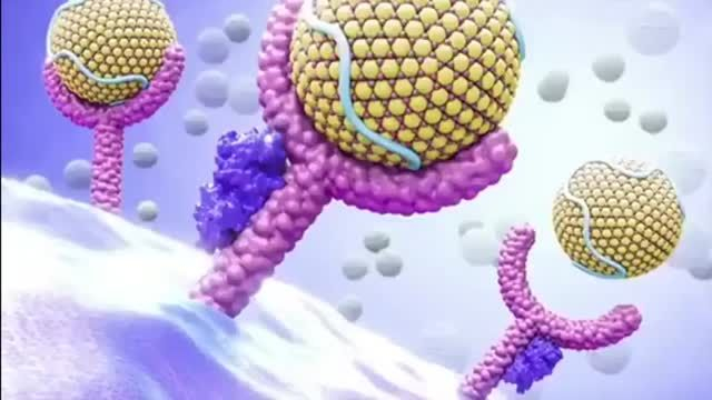 Dr Tom Cowan and Dr Lee Merritt--Viruses do NOT Exist